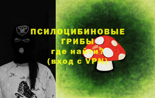 таблы Ельня